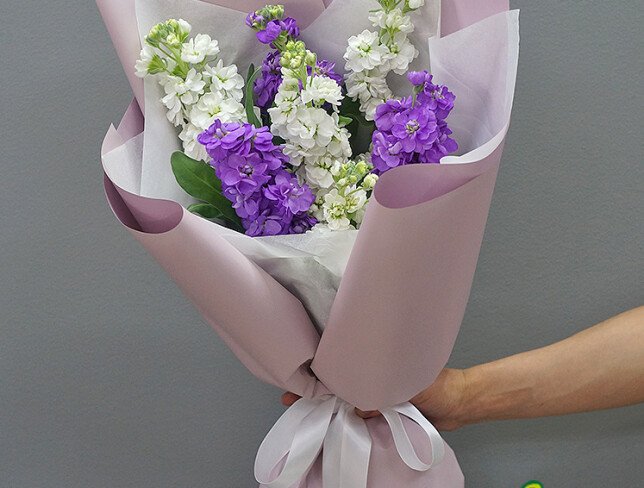 Buchet din matthiola mov si albe foto