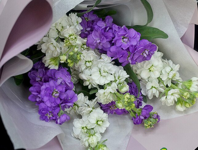 Buchet din matthiola mov si albe foto