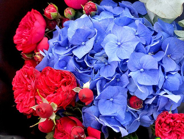 Buchet din hortensie albastra si trandafiri rosii foto