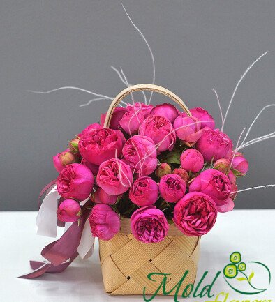Basket of Bright Pink Spray Roses photo 394x433