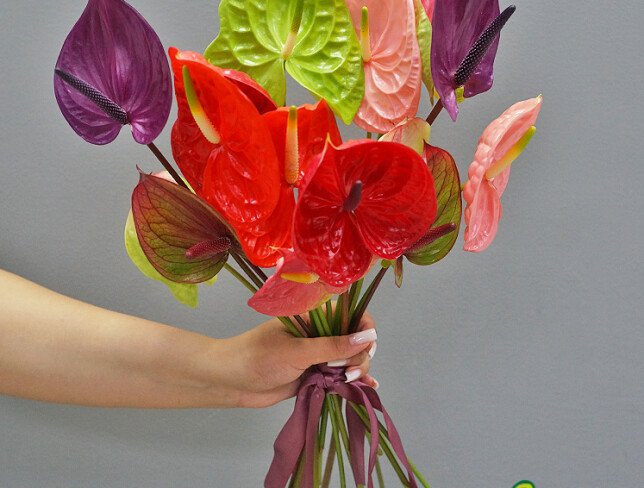 Anthurium /1 bucata foto