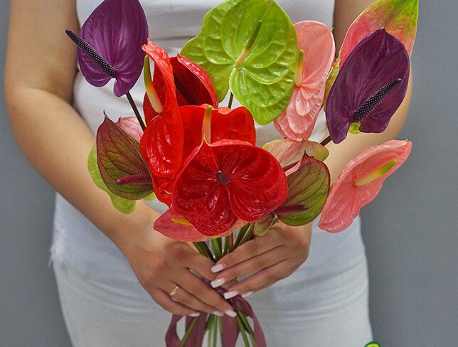 Anthurium /1 bucata foto