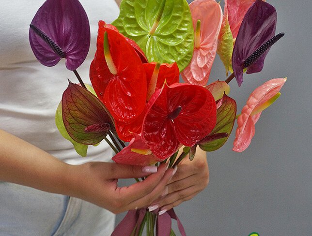 Anthurium /1 bucata foto