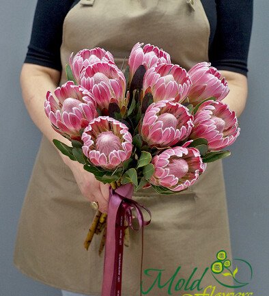 Protea /1 piece photo 394x433