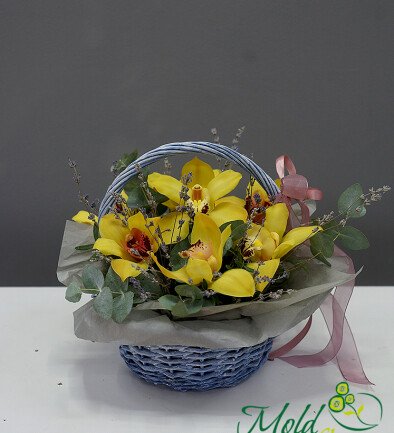 Basket with Yellow Orchids and Lavender photo 394x433