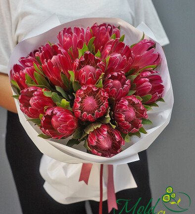 Bouquet of 15 Proteas photo 394x433