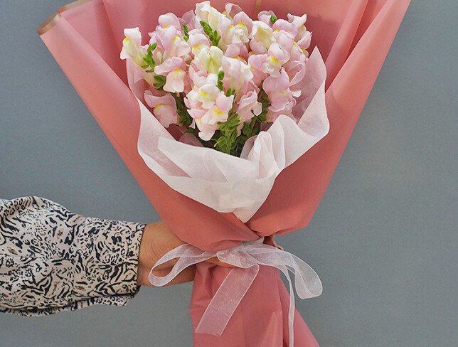 Bouquet of 7 Pink Snapdragons photo