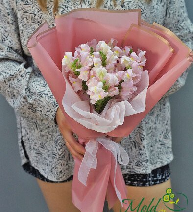 Buchet din 7 gura-leului roz foto 394x433