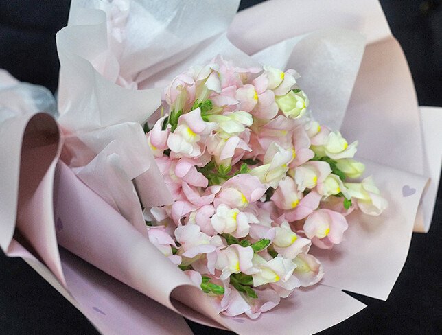 Bouquet of 9 Pink Snapdragons photo