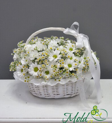 Basket with Daisies and Chrysanthemums photo 394x433