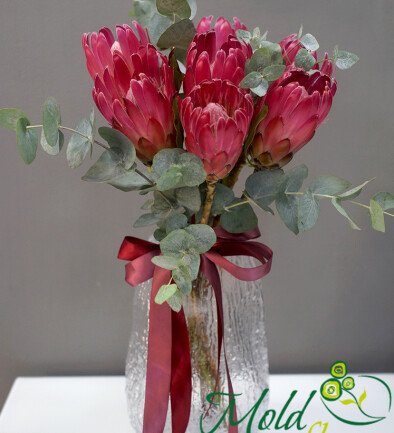 Vase + bouquet of 7 proteas photo 394x433