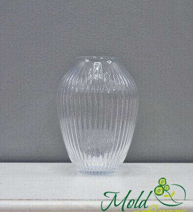 Oval Glass Vase 25 × 9 cm photo 394x433