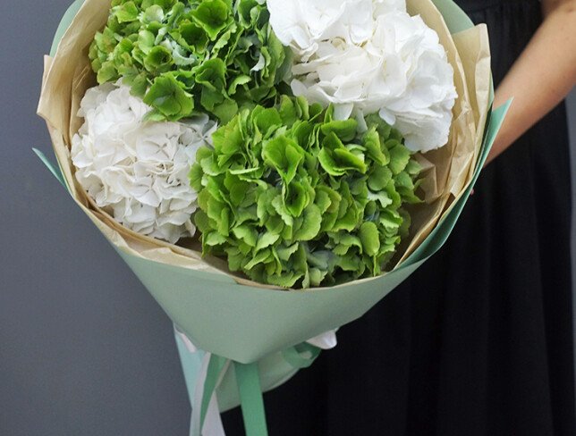 Bouquet of Green and White Hydrangeas photo