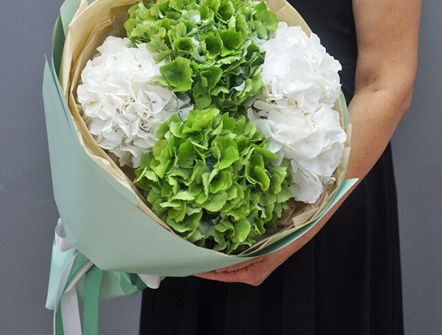 Bouquet of Green and White Hydrangeas photo