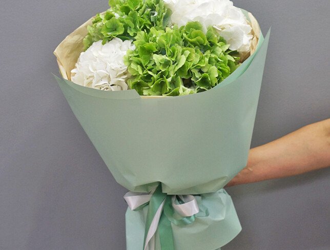 Bouquet of Green and White Hydrangeas photo