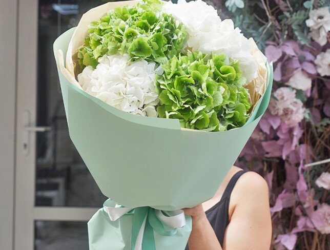 Bouquet of Green and White Hydrangeas photo