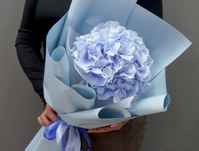 Bouquet of Blue Hydrangea photo