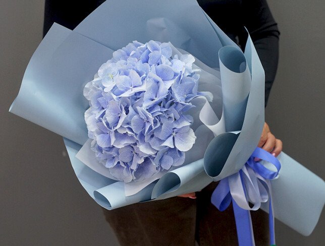 Bouquet of Blue Hydrangea photo