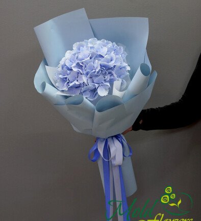 Bouquet of Blue Hydrangea photo 394x433