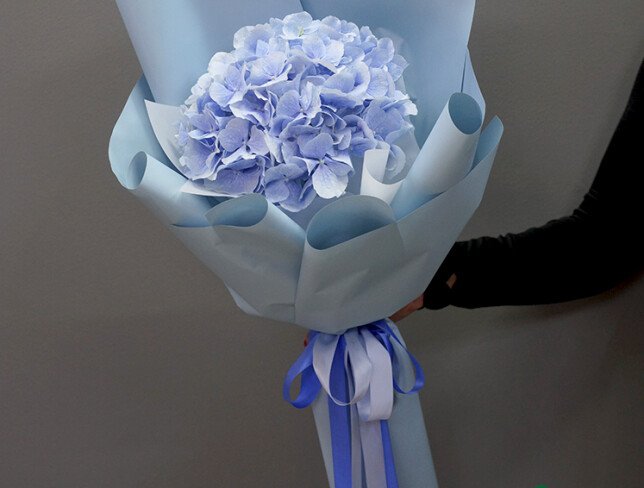 Bouquet of Blue Hydrangea photo
