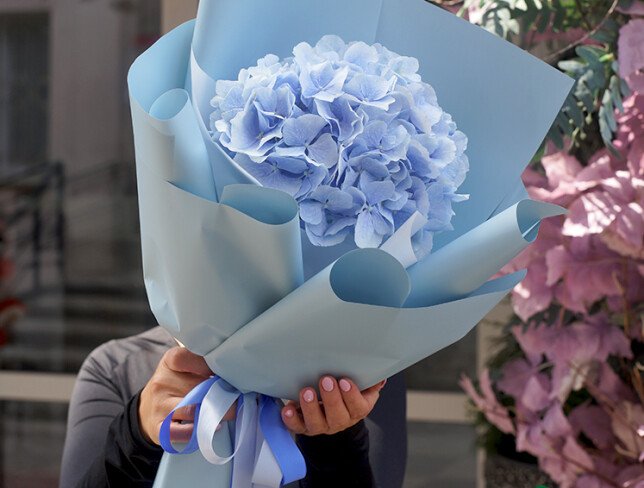Bouquet of Blue Hydrangea photo