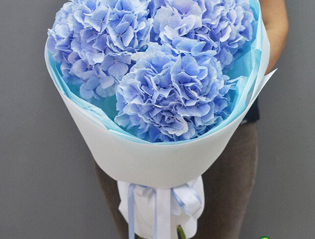 Buchet din 3 hortensii albastre foto