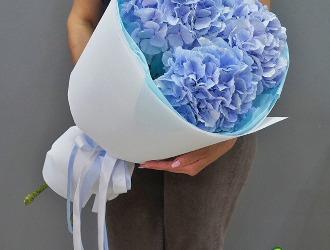 Buchet din 3 hortensii albastre foto