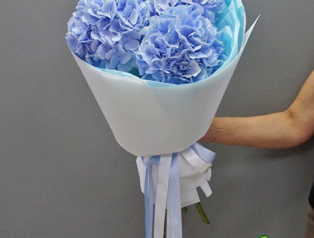 Buchet din 3 hortensii albastre foto