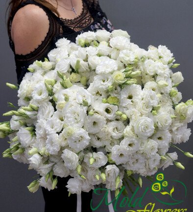 Buchet din 51 eustome albe foto 394x433