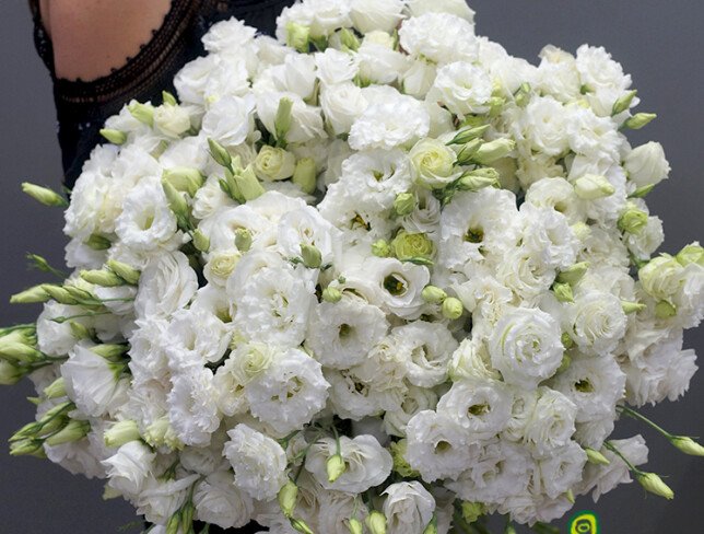 Buchet din 51 eustome albe foto