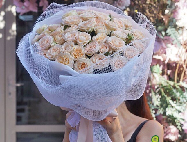 White Dream photo