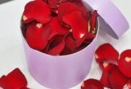 Rose petals — photo 3