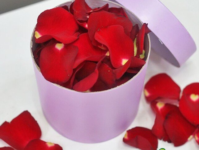 Rose petals photo