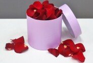 Rose petals — photo 2