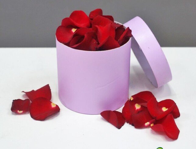 Rose petals photo
