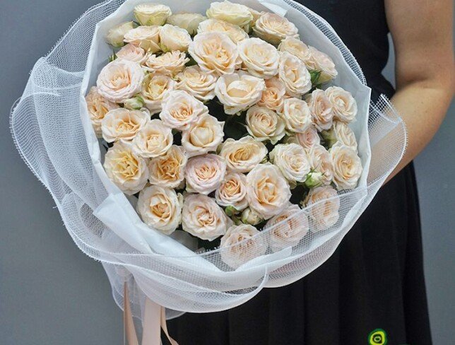 White Dream photo