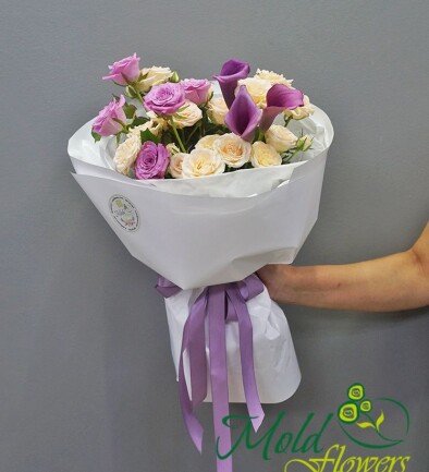 Violeta foto 394x433
