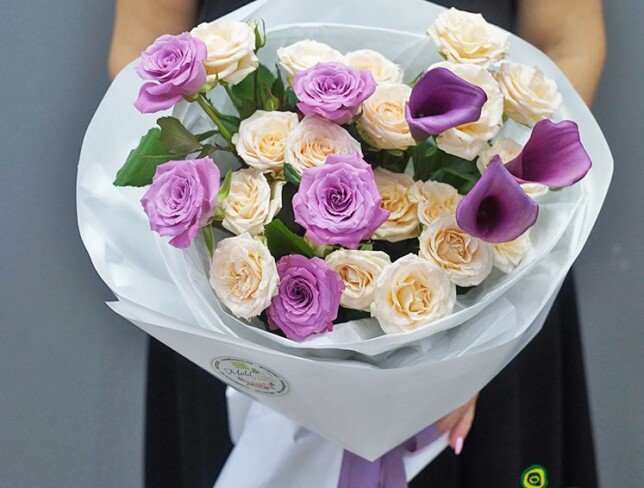 Violeta foto
