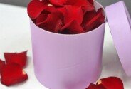 Rose petals — photo 1