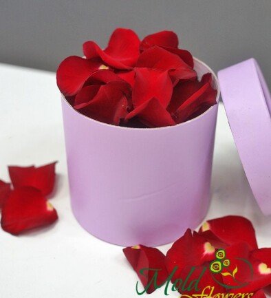 Rose petals photo 394x433