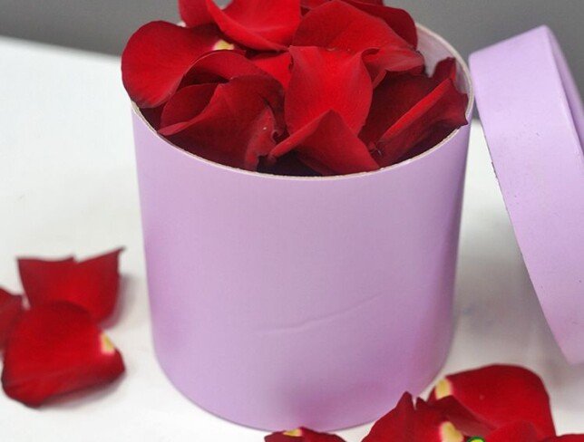 Rose petals photo