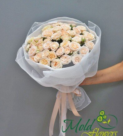 White Dream photo 394x433