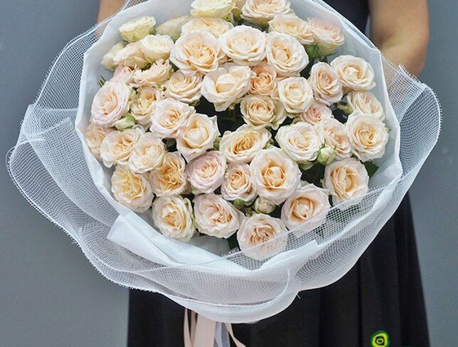 White Dream photo