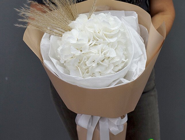 Bouquet with One White Hydrangea photo