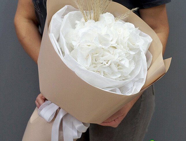 Bouquet with One White Hydrangea photo