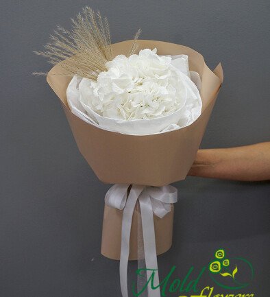 Bouquet with One White Hydrangea photo 394x433