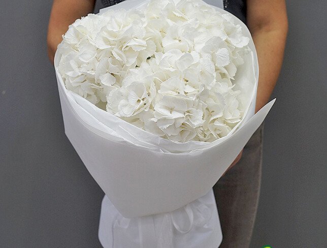 Buchet cu 3 hortensii albe foto