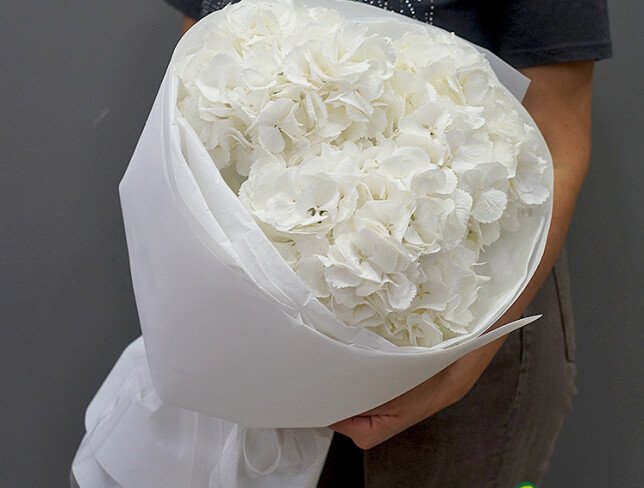 Buchet cu 3 hortensii albe foto
