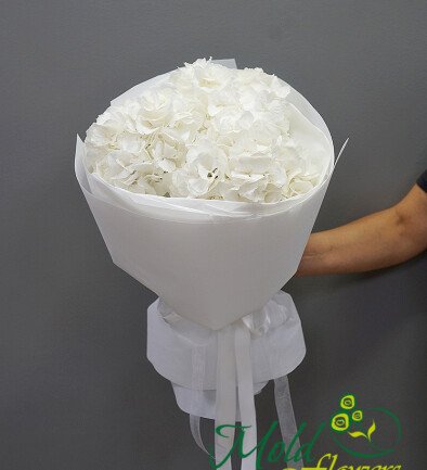 Buchet cu 3 hortensii albe foto 394x433