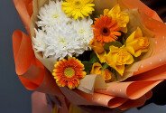 Sunny Compliment — photo 4